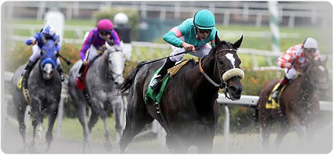 Horse Betting World. Read More